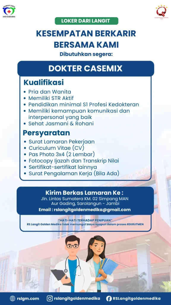 Dokter Casemix